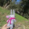 Pequeño Platero - Imagen 4